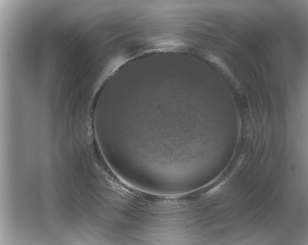 X0000065981362200603031144