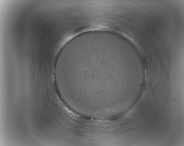 X0000065981363200603031144