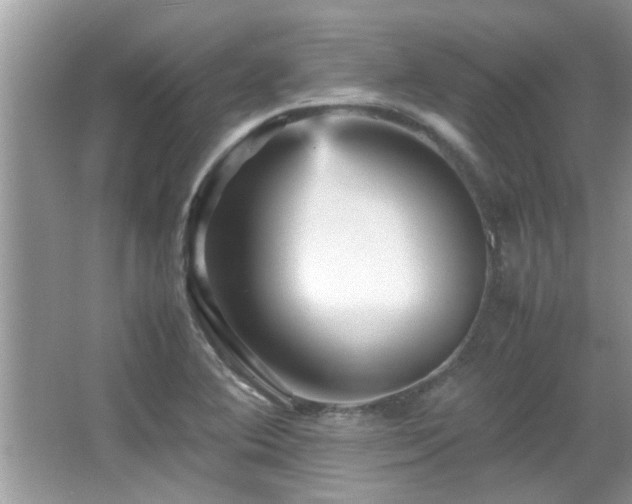 X0000065981364200603031144