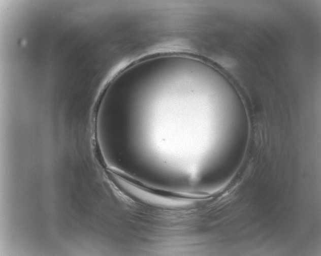 X0000065981366200603031144