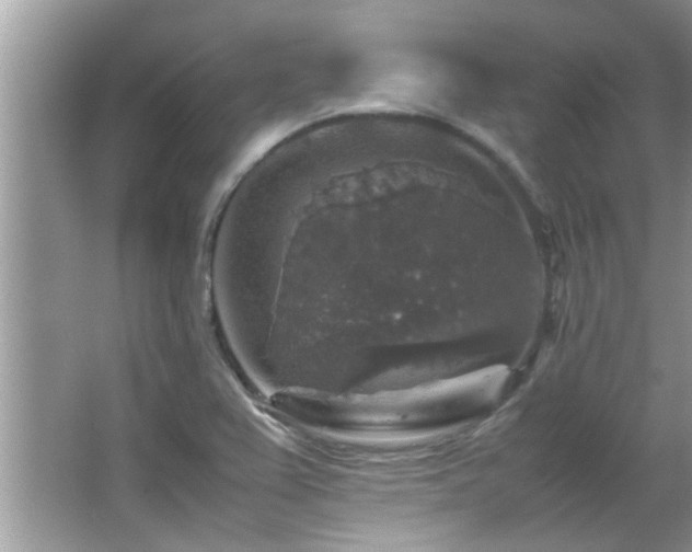 X0000065981367200603031143