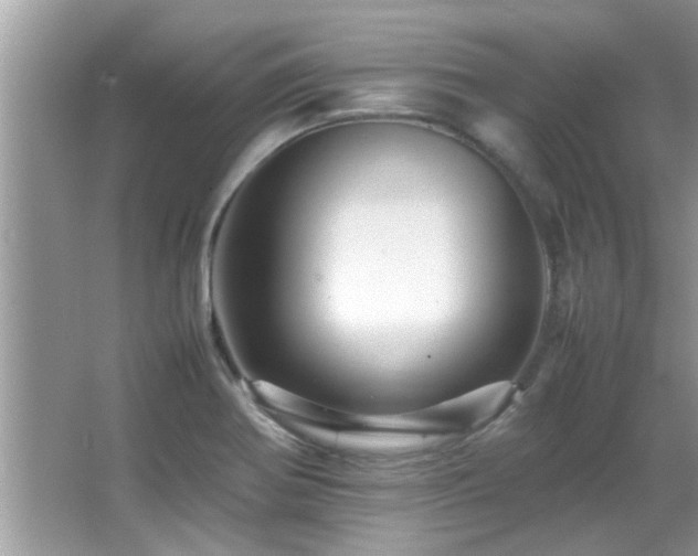 X0000065981370200603031143