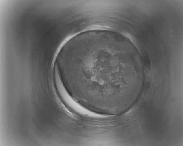 X0000065981371200603031143