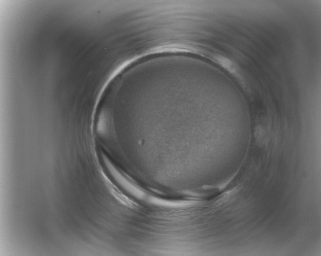 X0000065981372200603031143