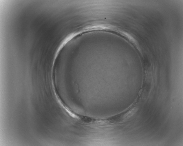 X0000065981373200603031143