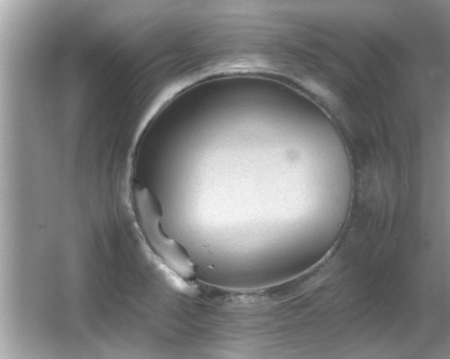 X0000065981374200603031143