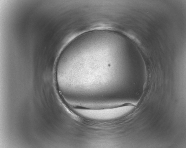 X0000065981375200603031143