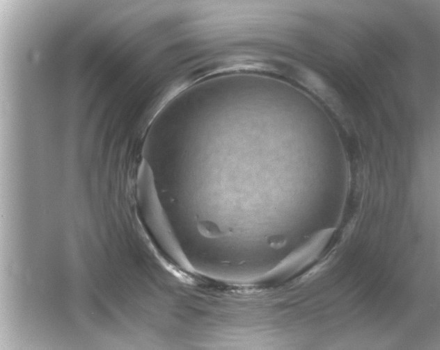 X0000065981377200603031143