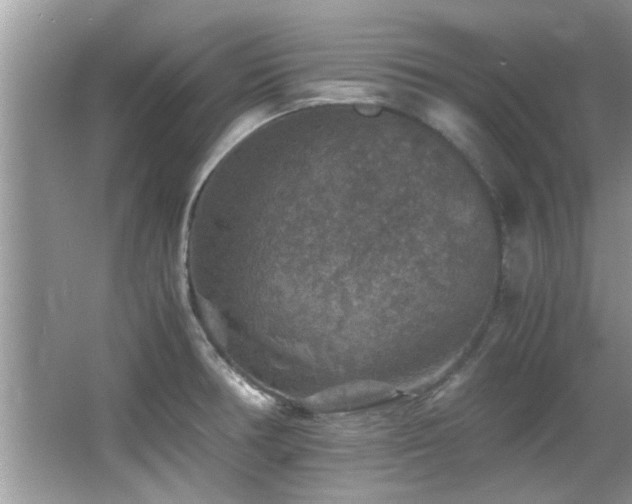 X0000065981378200603031143