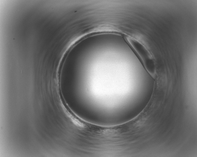 X0000065981380200603031143