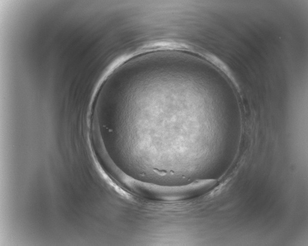 X0000065981381200603031143