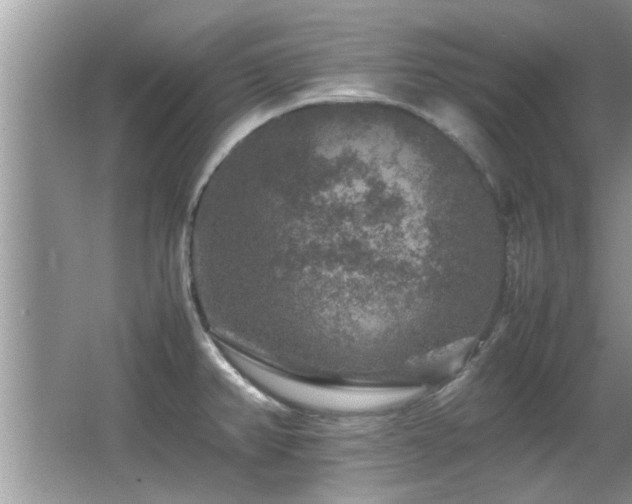 X0000065981382200603031143