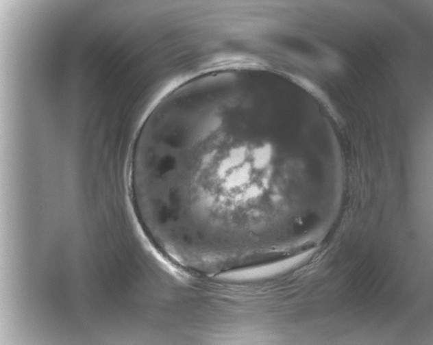 X0000065981383200603031143