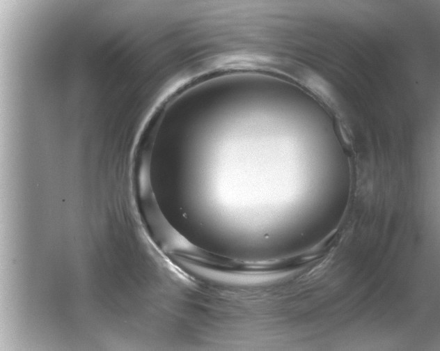 X0000065981384200603031143