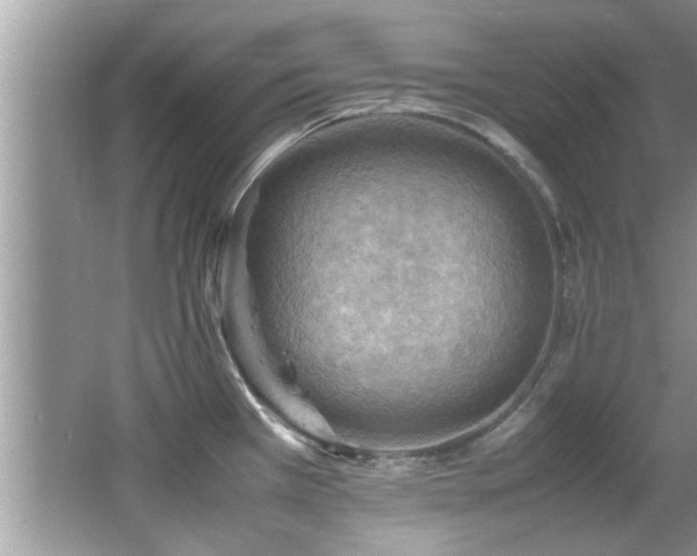 X0000065981385200603031143