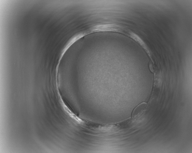 X0000065981386200603031143