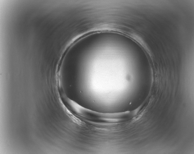 X0000065981388200603031143