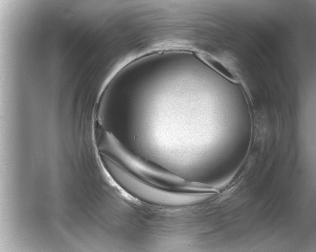 X0000065981390200603031143