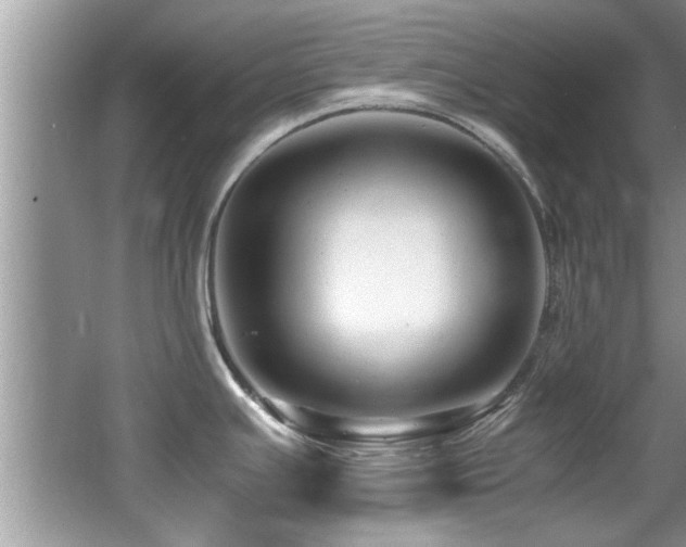 X0000065981391200603031143