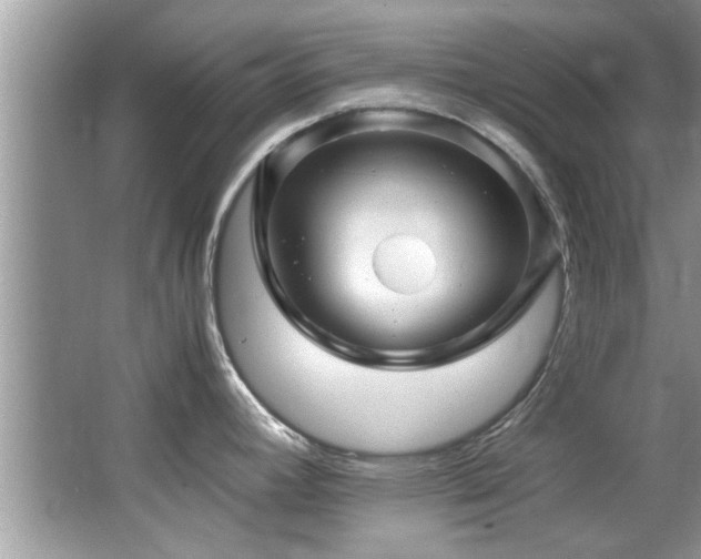 X0000065981392200603031143