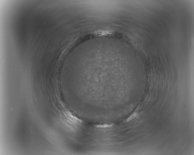 X0000065981393200603031142