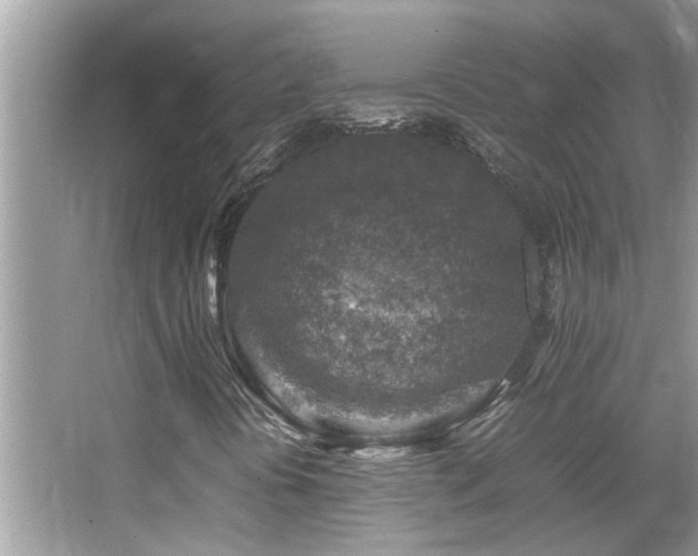 X0000065981394200603031142