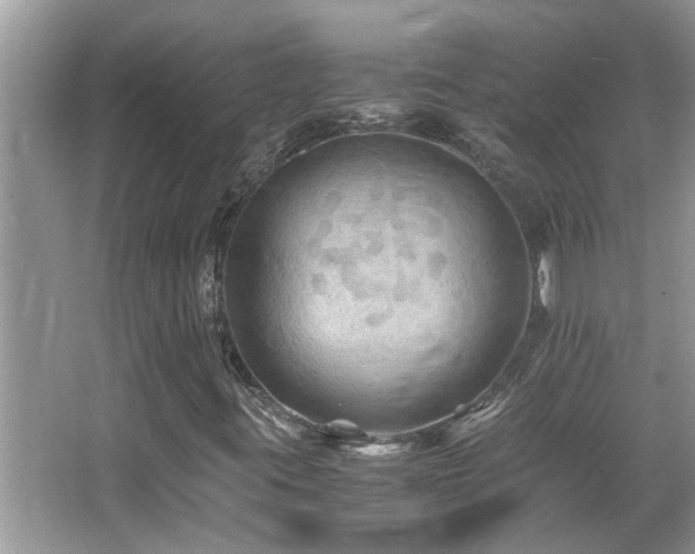 X0000065981395200603031142