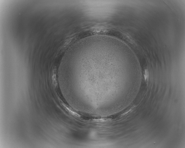 X0000065981396200603031142