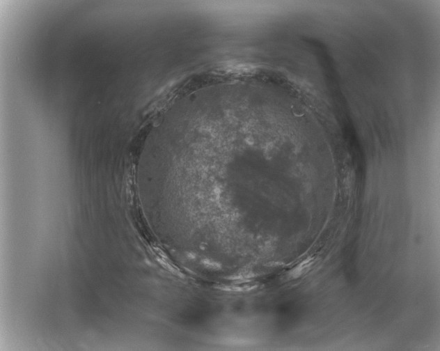 X0000065981397200603031142