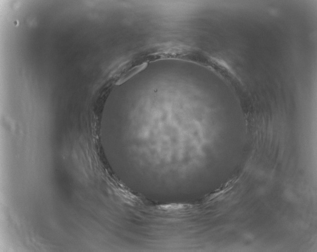 X0000065981399200603031142