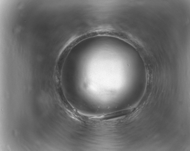 X0000065981400200603031142