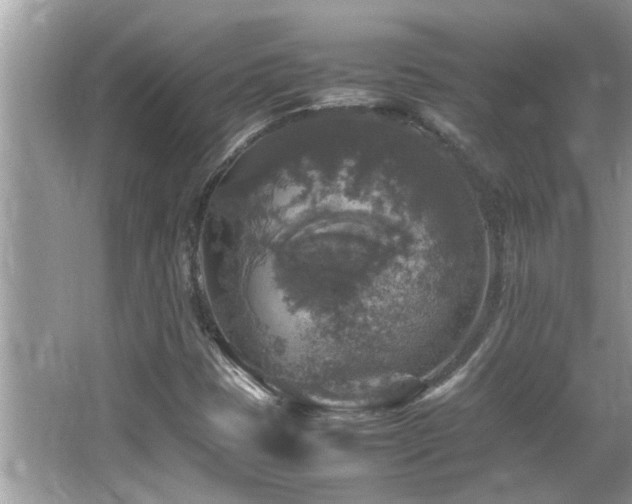 X0000065981401200603031142