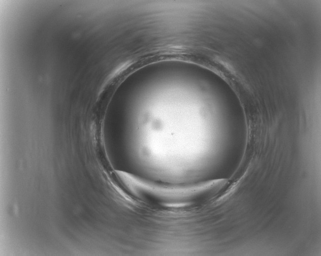 X0000065981402200603031142