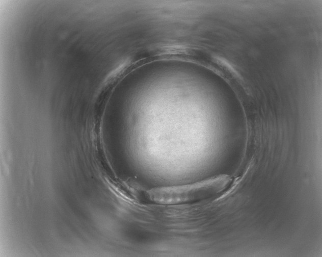 X0000065981403200603031142