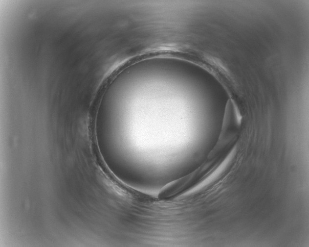 X0000065981404200603031142