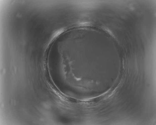 X0000065981405200603031142