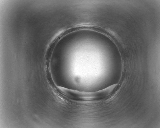 X0000065981406200603031142