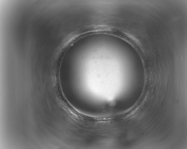 X0000065981407200603031142