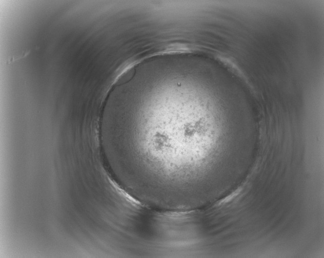 X0000065981409200603031143