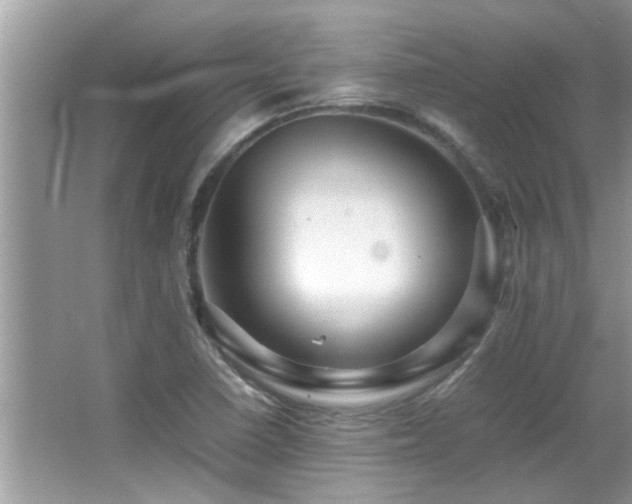 X0000065981410200603031143