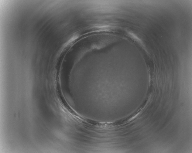 X0000065981411200603031143