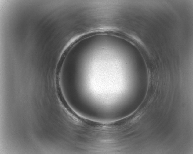 X0000065981412200603031143