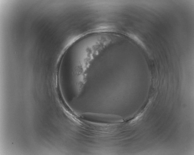 X0000065981413200603031143