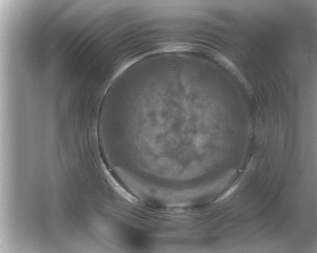 X0000065981417200603031143