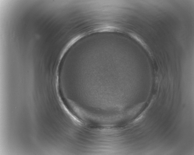 X0000065981418200603031143