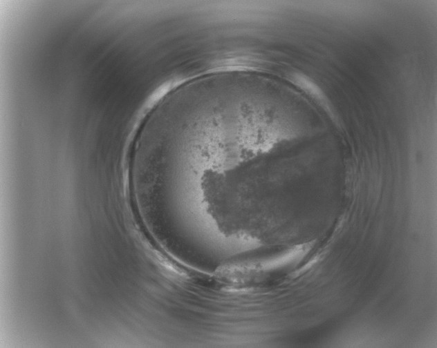 X0000065981419200603031143