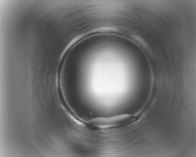 X0000065981420200603031143