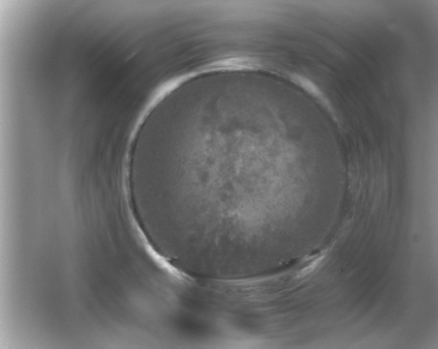 X0000065981421200603031143