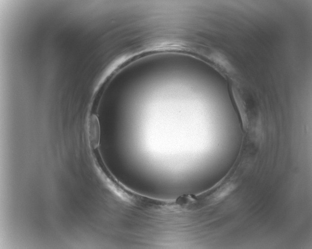 X0000065981422200603031143