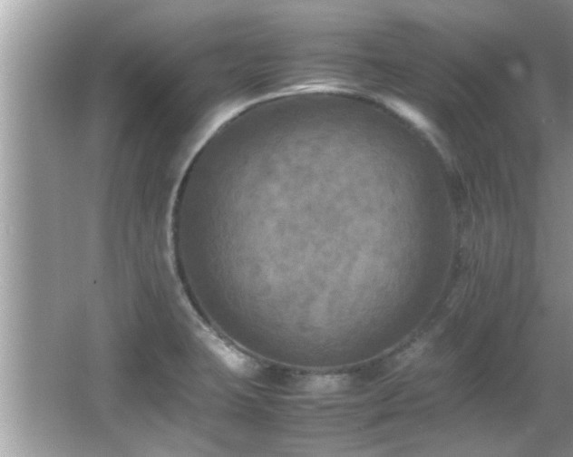 X0000065981423200603031143